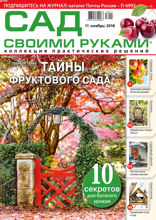 Сад Своими Руками (11-2018)