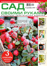 Сад Своими Руками (12-2018)