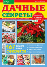 Дачные Секреты (12-2018)