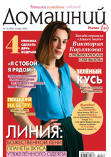 Домашний Журнал (19-2022)