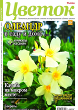 Цветок (22-2022)