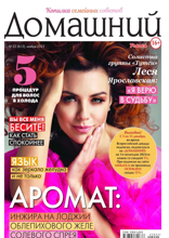 Домашний Журнал (22-2022)