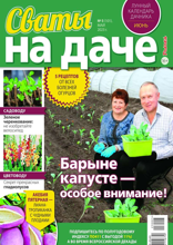 Сваты на Даче (05-2023)