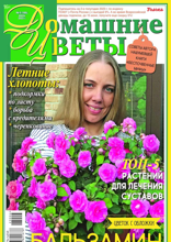 Домашние Цветы (06-2023)