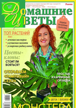 Домашние Цветы (11-2023)