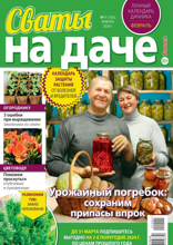 Сваты на Даче (01-2024)