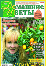 Домашние Цветы (02-2024)