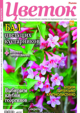 Цветок (06-2024)