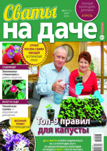 Сваты на Даче (03-2024)