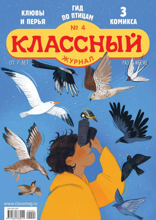 Классный Журнал (04-2024)