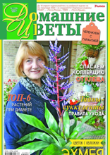 Домашние Цветы (04-2024)
