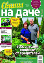 Сваты на Даче (04-2024)