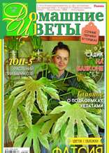 Домашние Цветы (05-2024)