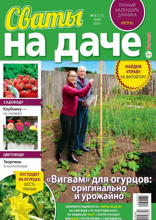 Сваты на Даче (05-2024)