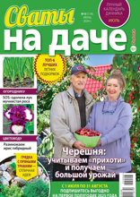 Сваты на Даче (06-2024)