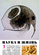 Наука и Жизнь (07-2024)