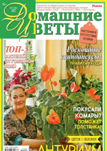 Домашние Цветы (07-2024)