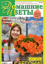 Домашние Цветы (08-2024)