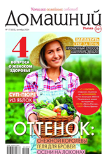 Домашний Журнал (17-2024)
