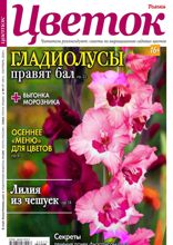Цветок (17-2024)