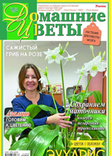Домашние Цветы (09-2024)
