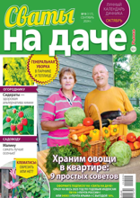 Сваты на Даче (09-2024)