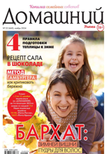 Домашний Журнал (22-2024)