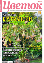 Цветок (22-2024)