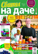 Сваты на Даче (11-2024)