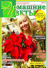 Домашние Цветы (12-2024)