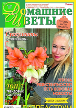 Домашние Цветы (01-2025)