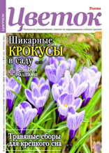 Цветок (03-2025)
