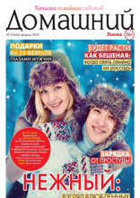 Домашний Журнал (03-2025)