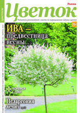 Цветок (04-2025)