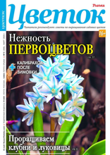 Цветок (05-2025)