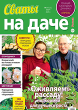 Сваты на Даче (03-2025)