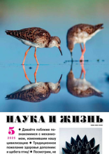 Наука и Жизнь (05-2025)