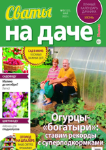Сваты на Даче (05-2025)