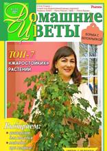 Домашние Цветы (06-2025)