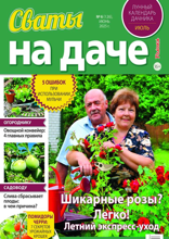 Сваты на Даче (06-2025)