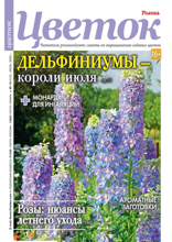 Цветок (13-2025)