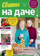 Сваты на Даче (07-2025)