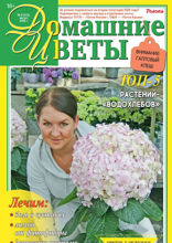 Домашние Цветы (08-2025)
