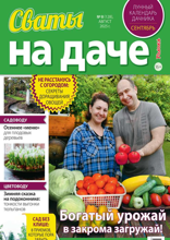 Сваты на Даче (08-2025)