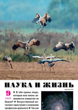Наука и Жизнь (09-2025)