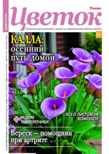 Цветок (17-2025)