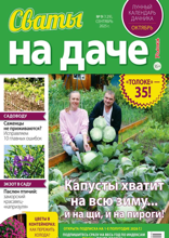 Сваты на Даче (09-2025)