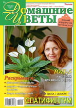 Домашние Цветы (10-2025)