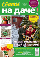 Сваты на Даче (12-2025)