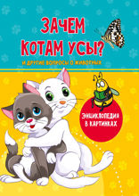 Зачем котам усы?